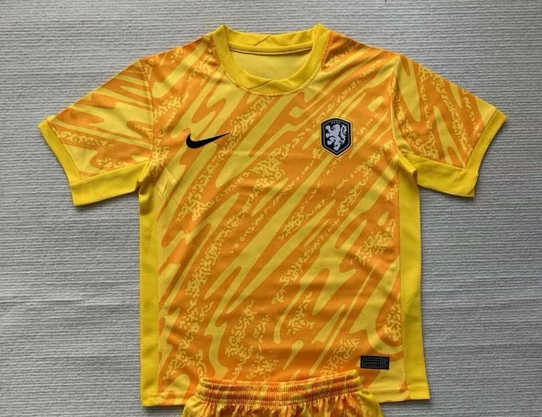 AAA Quality Netherlands 2024 GK Yellow Soccer Jersey